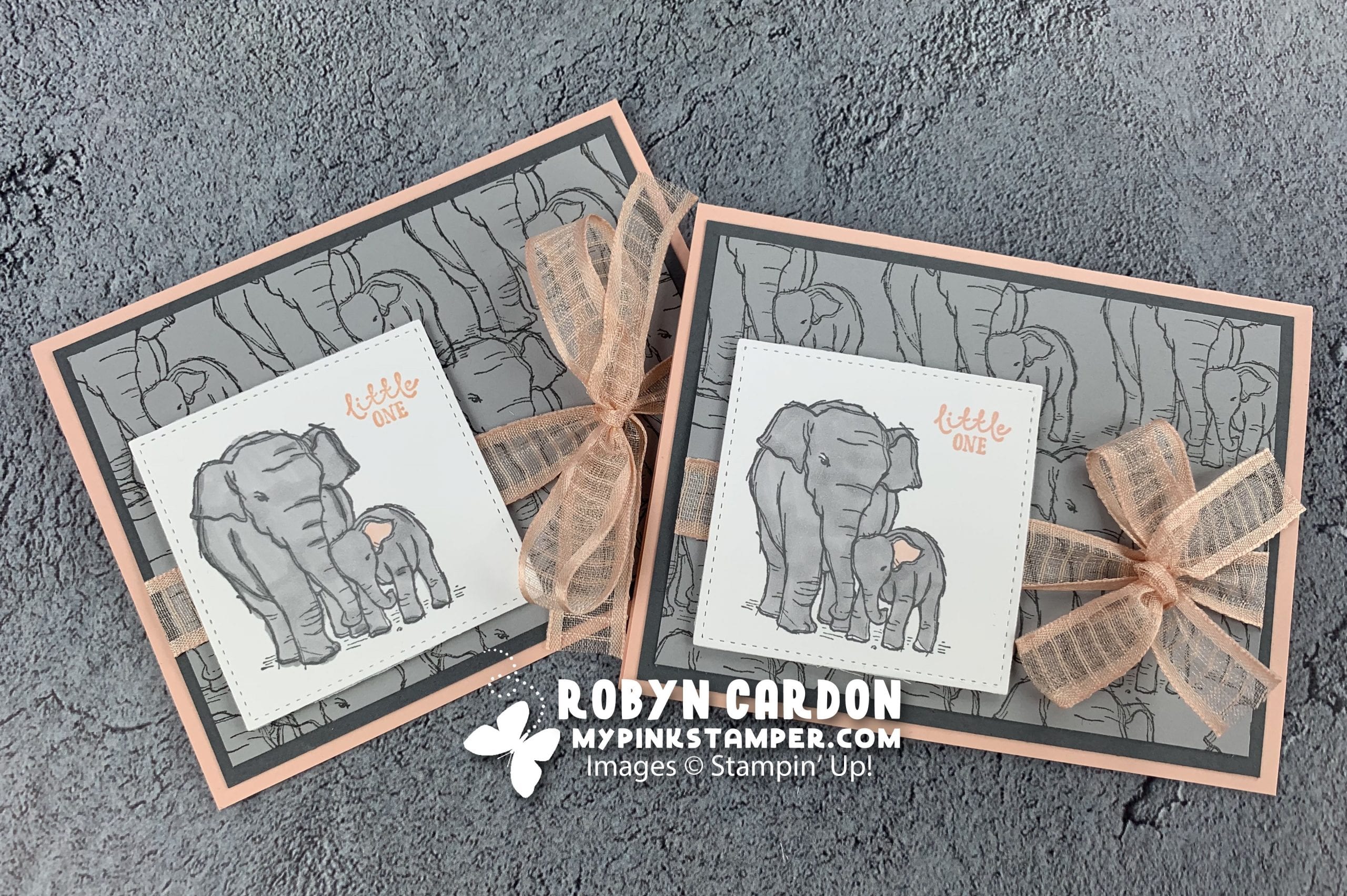 Day 6 & 7 – A Card a Day in May – Bubbles & Bubbly Stamp Set & Seasoned With Kindness Giveaway – Week 1 Promotion!
