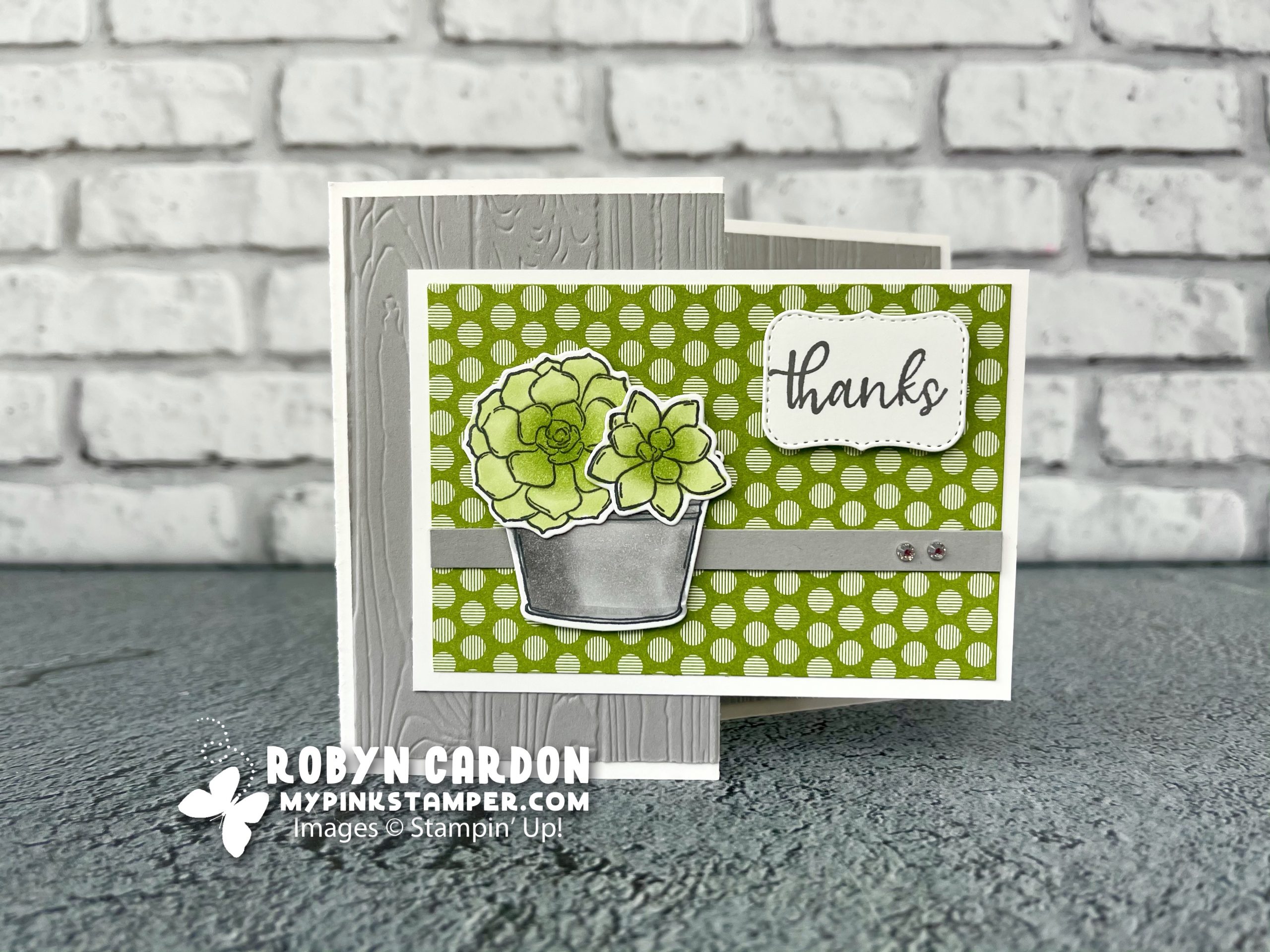 {VIDEO}Episode 812 – Make a Fun Fold Card w/ Simply Succulents!