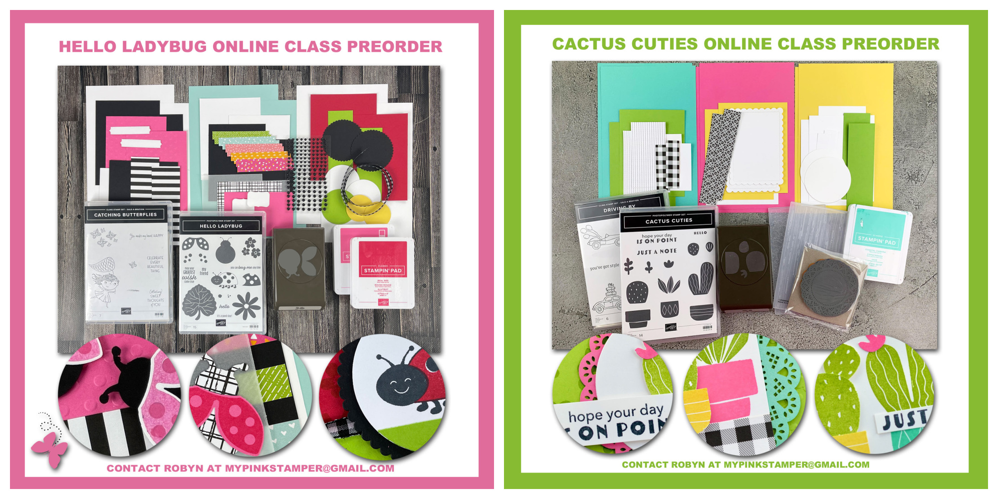 Hello Ladybug & Cactus Cuties Online Class Preorders Now Open!